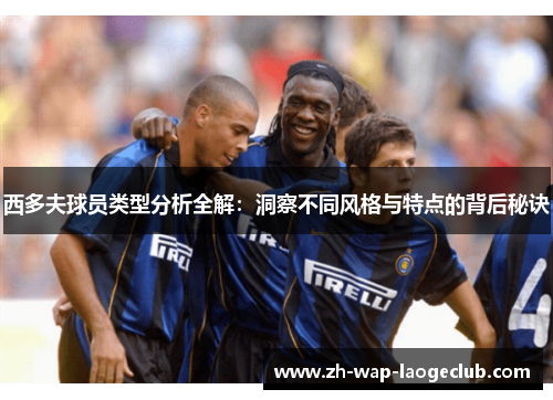 西多夫球员类型分析全解：洞察不同风格与特点的背后秘诀