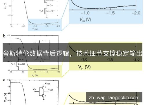 舍斯特伦数据背后逻辑,技术细节支撑稳定输出 舍斯特伦数据背后逻辑,技术细节支撑稳定输出